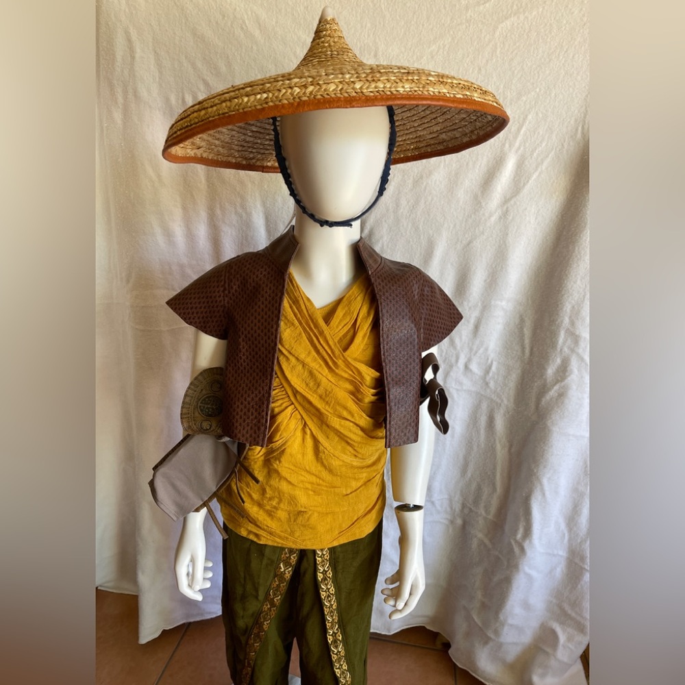 Disney Raya Costume